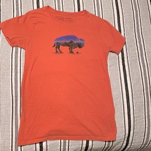 Patagonia Buffalo T-shirt 🦬